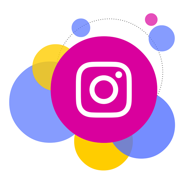 Review: ProfitsGram – Making Money with Instagram
